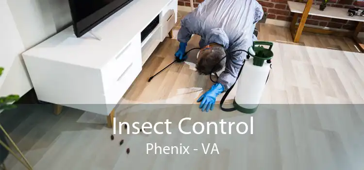 Insect Control Phenix - VA