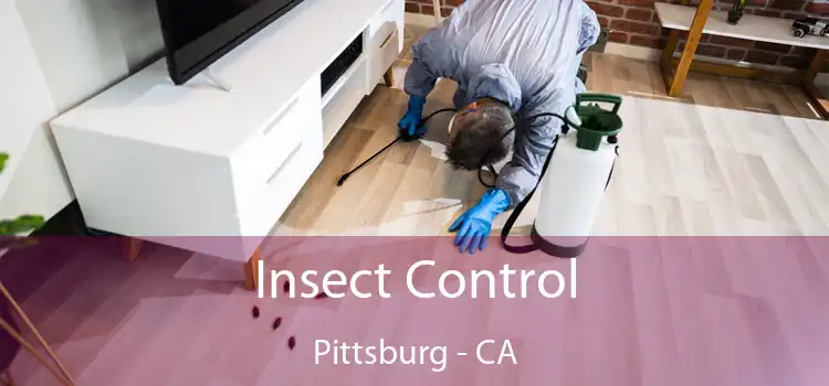 Insect Control Pittsburg - CA