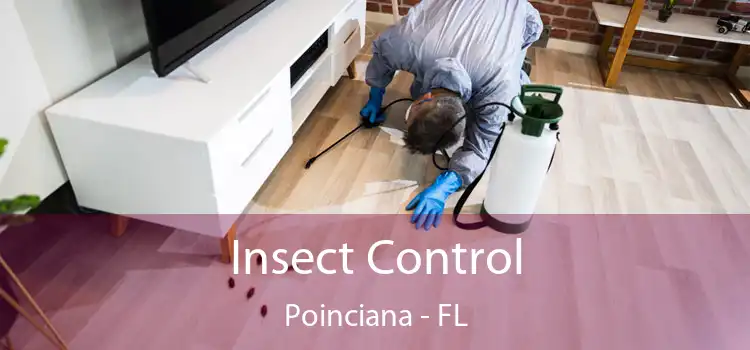  Insect Control Poinciana - FL