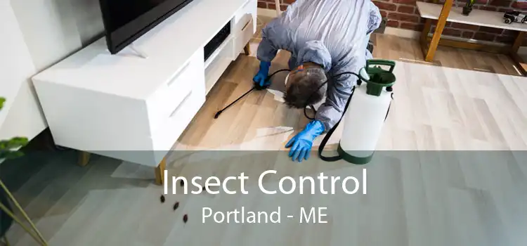 Insect Control Portland - ME