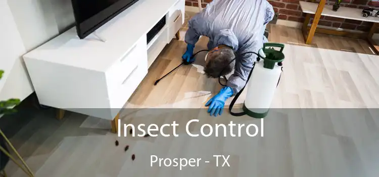  Insect Control Prosper - TX