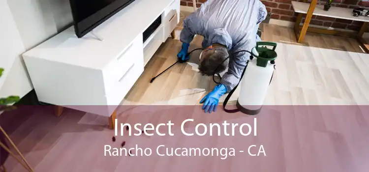 Insect Control Rancho Cucamonga - CA