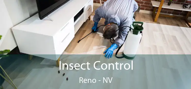 Insect Control Reno - NV