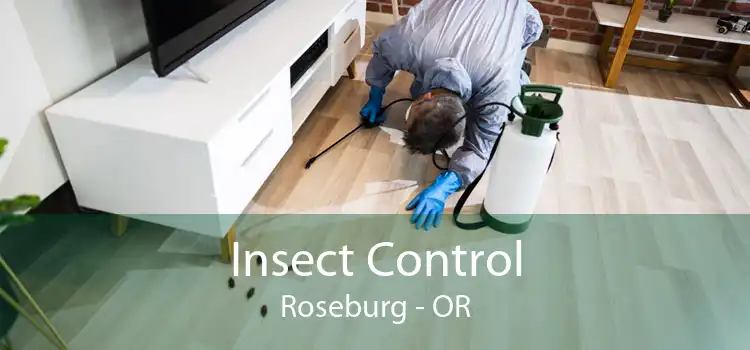 Insect Control Roseburg - OR