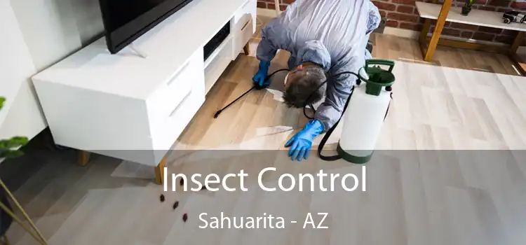  Insect Control Sahuarita - AZ