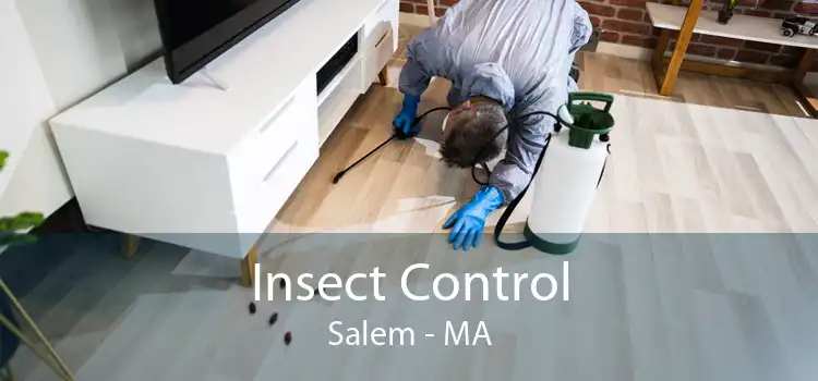 Insect Control Salem - MA