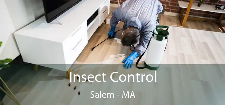  Insect Control Salem - MA