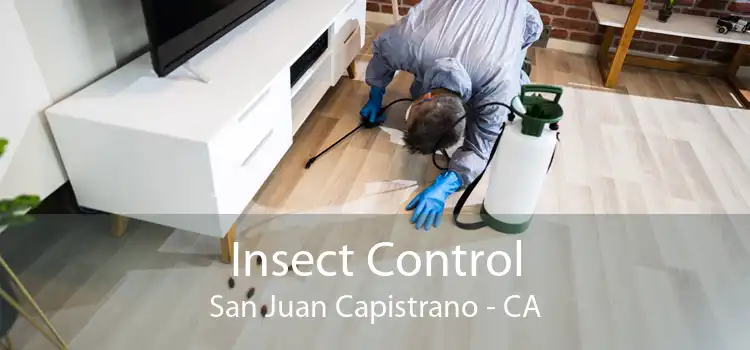 Insect Control San Juan Capistrano - CA
