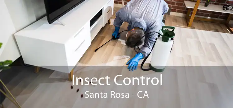 Insect Control Santa Rosa - CA