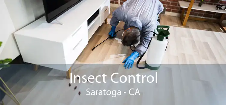Insect Control Saratoga - CA