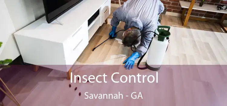  Insect Control Savannah - GA