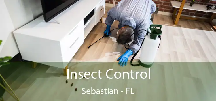  Insect Control Sebastian - FL
