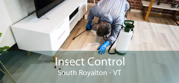 Insect Control South Royalton - VT