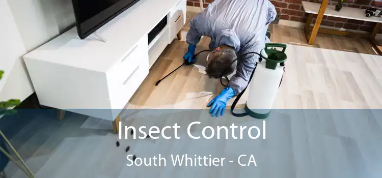 Insect Control South Whittier - CA