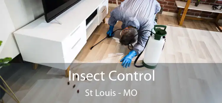 Insect Control St Louis - MO