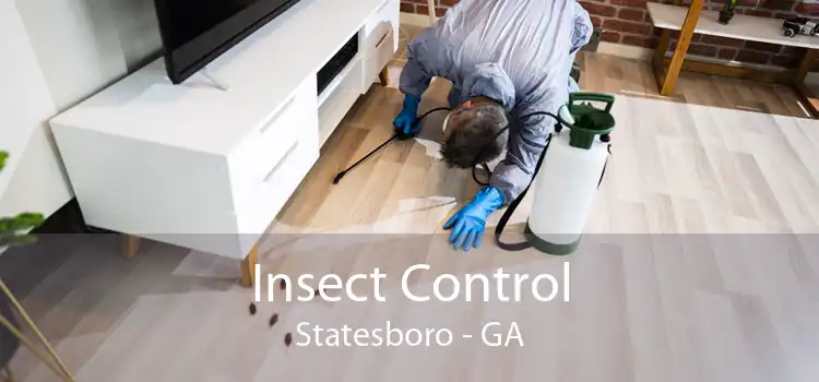 Insect Control Statesboro - GA
