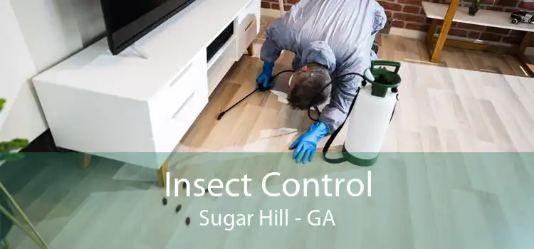 Insect Control Sugar Hill - GA