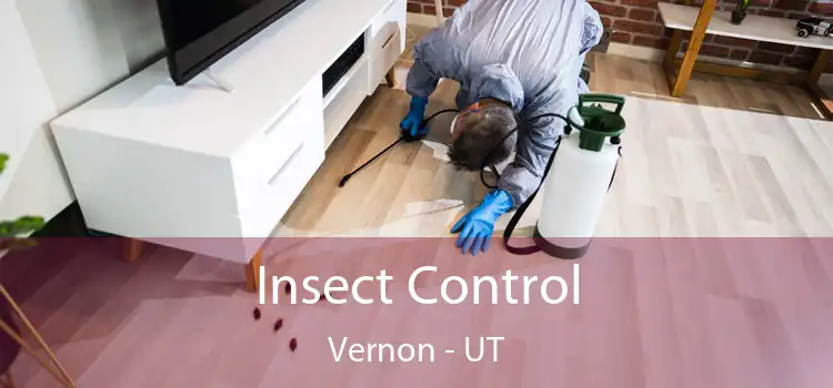  Insect Control Vernon - UT