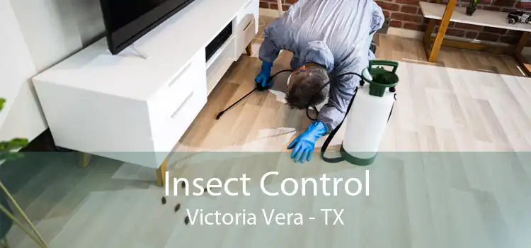Insect Control Victoria Vera - TX