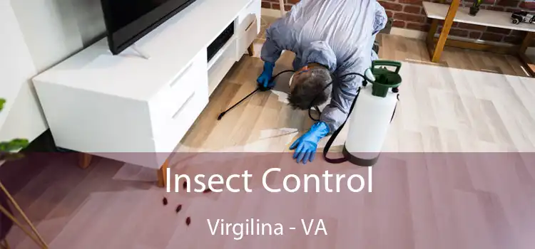  Insect Control Virgilina - VA