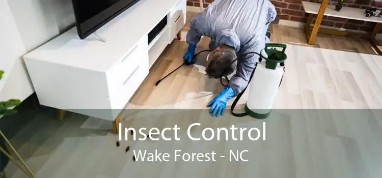 Insect Control Wake Forest - NC