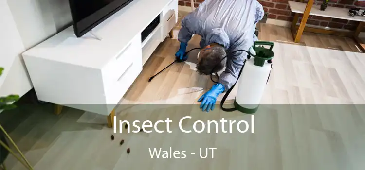  Insect Control Wales - UT