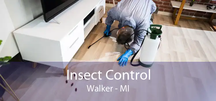 Insect Control Walker - MI