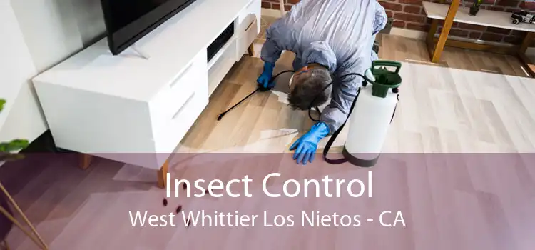 Insect Control West Whittier Los Nietos - CA