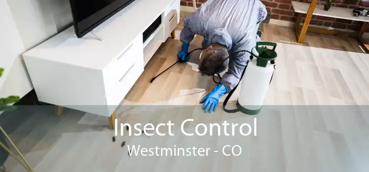 Insect Control Westminster - CO