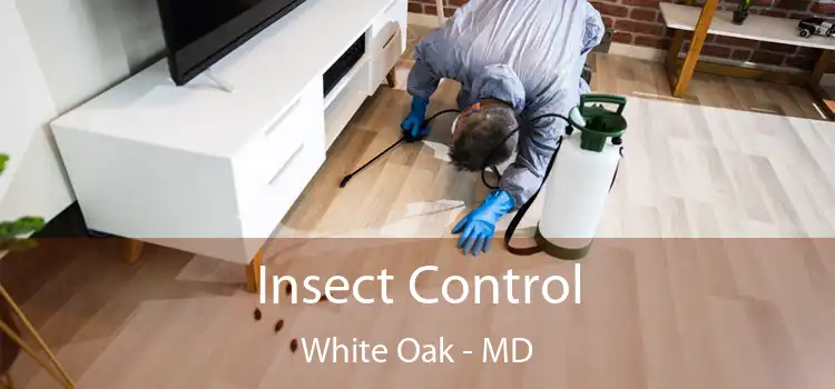  Insect Control White Oak - MD