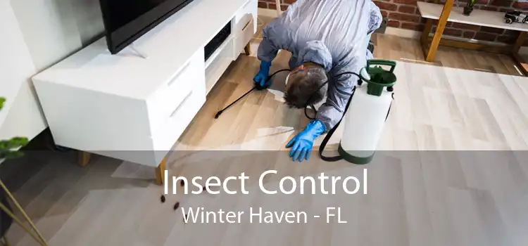 Insect Control Winter Haven - FL