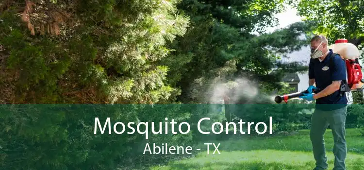 Mosquito Control Abilene - TX