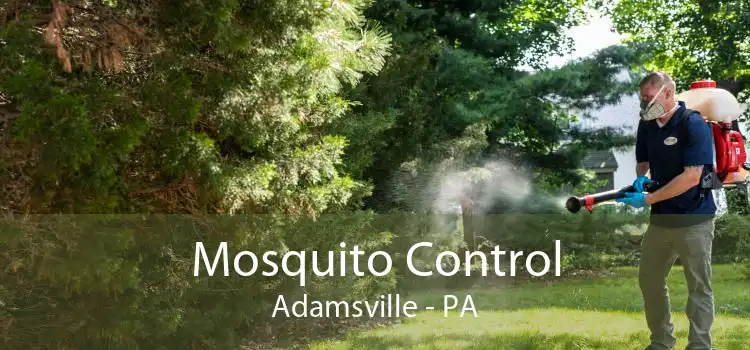 Mosquito Control Adamsville - PA