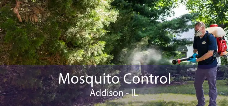 Mosquito Control Addison - IL