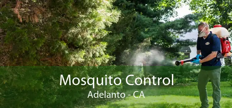 Mosquito Control Adelanto - CA