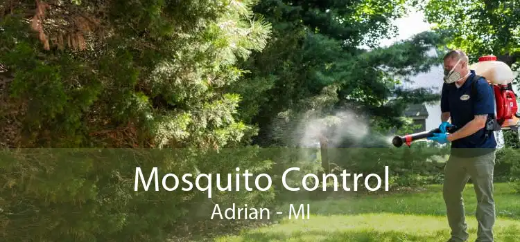 Mosquito Control Adrian - MI