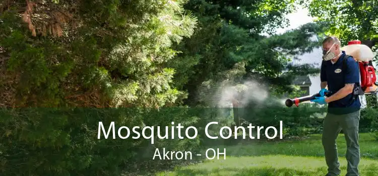 Mosquito Control Akron - OH
