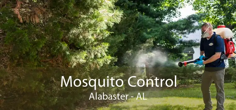Mosquito Control Alabaster - AL
