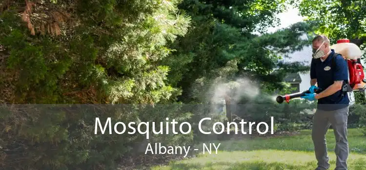 Mosquito Control Albany - NY
