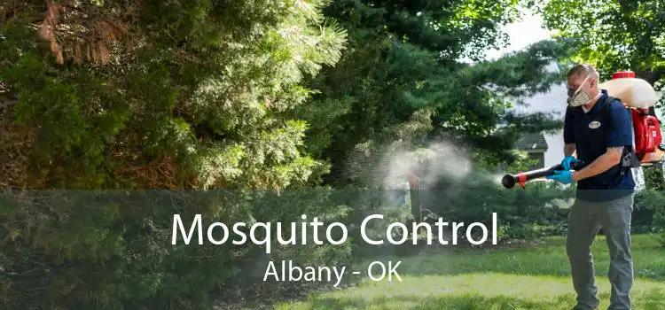 Mosquito Control Albany - OK