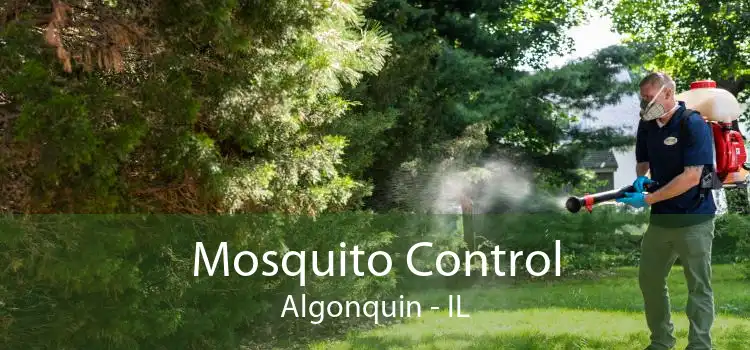 Mosquito Control Algonquin - IL