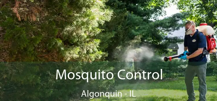  Mosquito Control Algonquin - IL