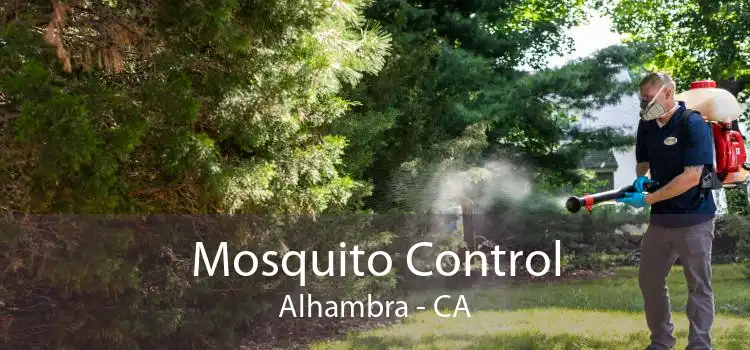 Mosquito Control Alhambra - CA