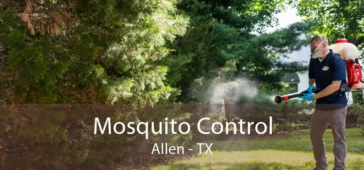 Mosquito Control Allen - TX