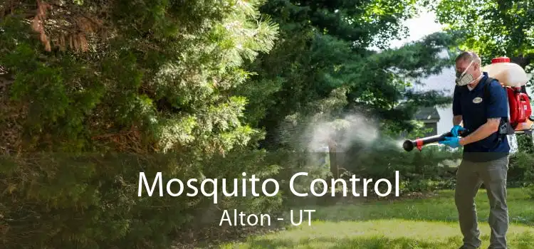 Mosquito Control Alton - UT