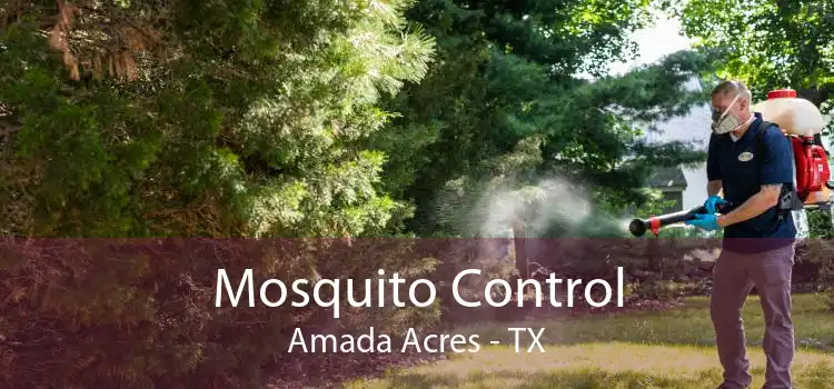 Mosquito Control Amada Acres - TX