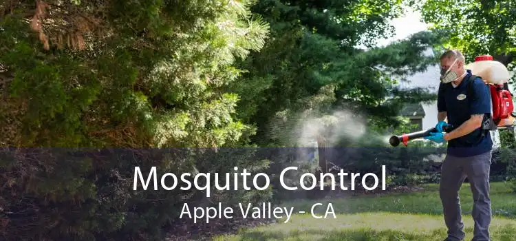 Mosquito Control Apple Valley - CA