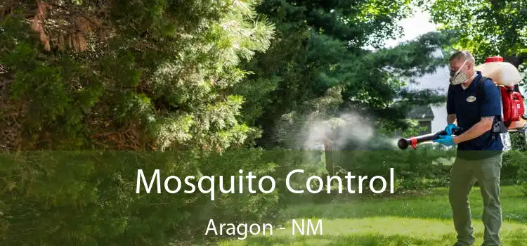  Mosquito Control Aragon - NM