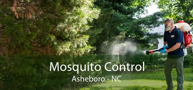 Mosquito Control Asheboro - NC