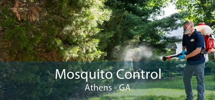 Mosquito Control Athens - GA
